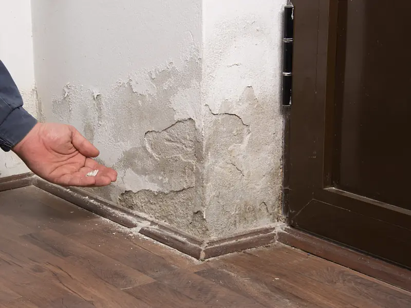 Technician checking a water-damaged wall near the floor